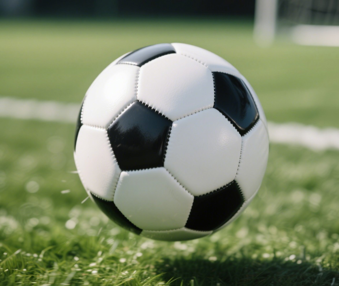 判令李某及 判令李某及