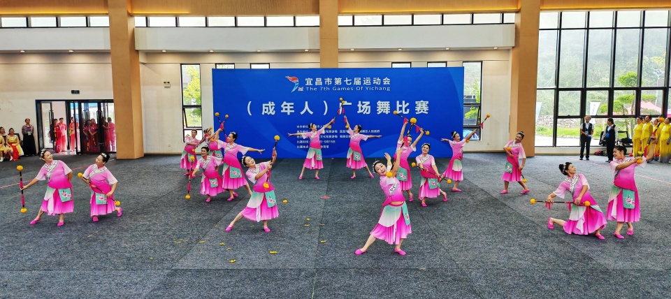 项目