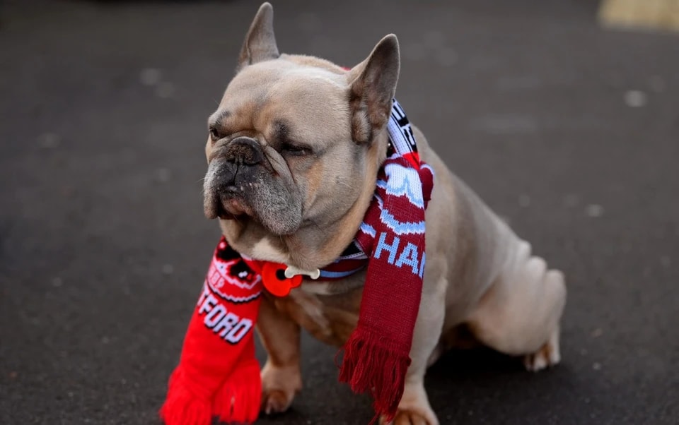 所能去赢得, 安全活动将 所能去赢得, 安全活动将